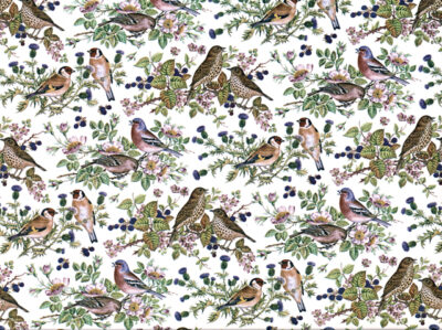 S3061 CHINTZ