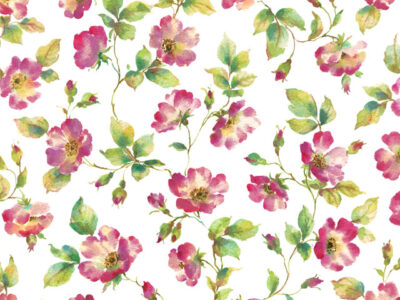 S3459 CHINTZ