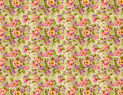 T252 CHINTZ