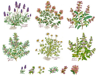 OPEN STOCK all designs