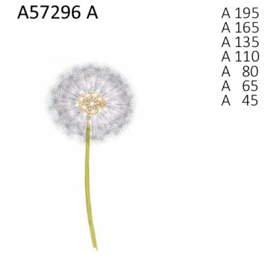 A57296