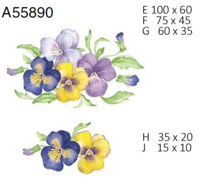 A55890