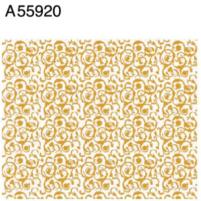 A55920