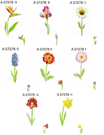 A57278