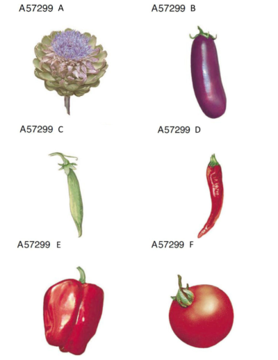 A57299
