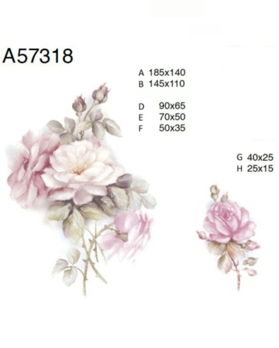 A57318