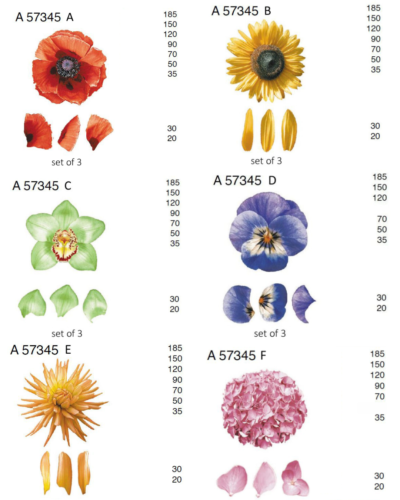 A57345