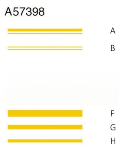 A57398