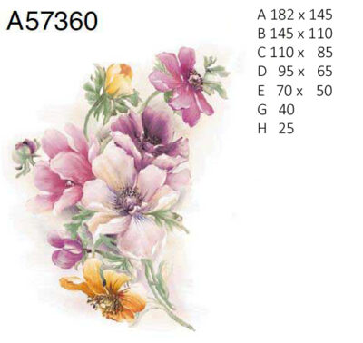 A57360