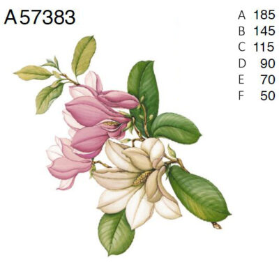 A57383