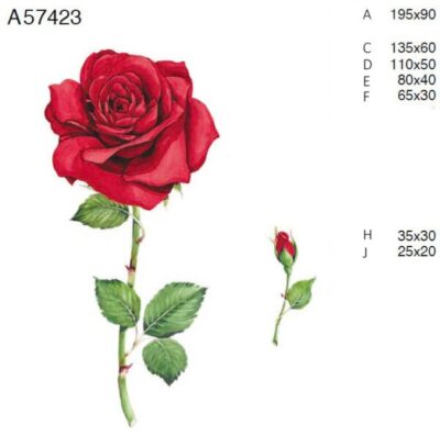 A57423