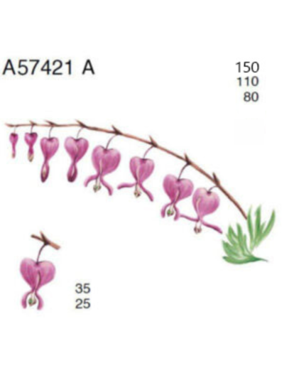 A57421