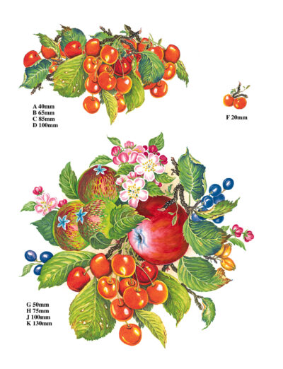 M104 CHERRIES