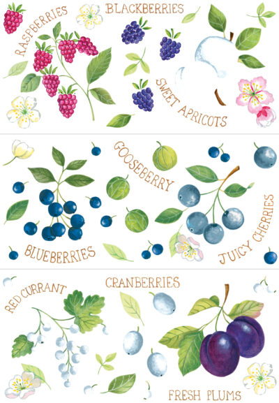 W N MELLOR CERAMIC TRANSFER RANGE