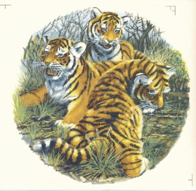 M129 CALL OF THE WILD