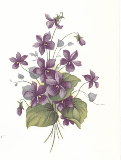 M10337 WILD VIOLETS