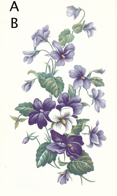 M4884 VIOLETS