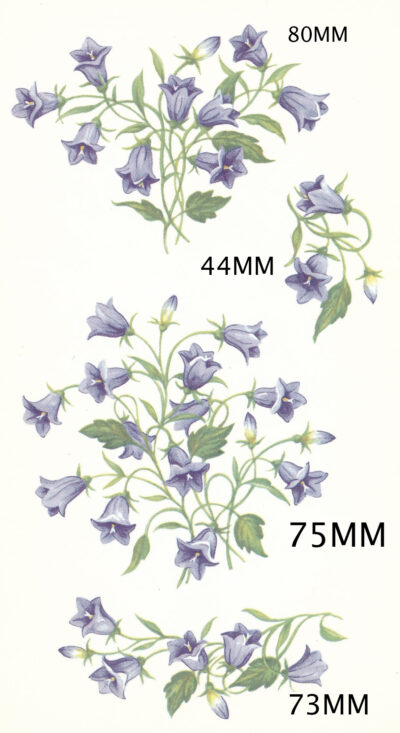 M243 HAREBELL