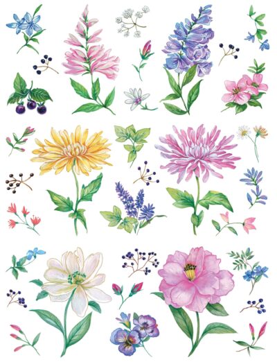 M187 MEADOW MUGWRAPS