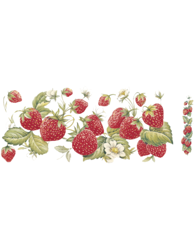 M5130 STRAWBERRY MUGWRAP