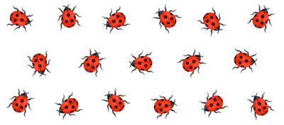 M185 LADYBIRD MUGWRAP