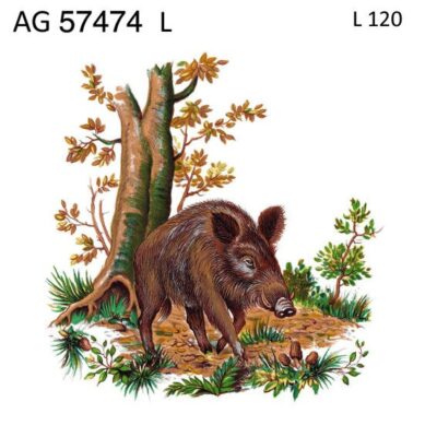 A57474 OFFER